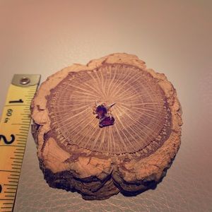 Garnet on gold stud earrings